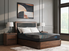 Family Deals Furniture - Ashley Furniture - Millennium 2.0 Foam 12 Inch Mattresses - Queen / Black - M31131