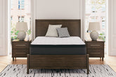 Family Deals Furniture - Ashley Furniture - Limited Edition PT Mattresses - Full / White - M41221