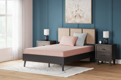 Family Deals Furniture - Ashley Furniture - iKidz Coral Mattresses - Full and Pillow 2/CN / Coral - M43121