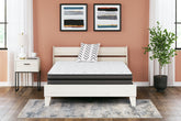 Family Deals Furniture - Ashley Furniture - 10 Inch Pocketed Hybrid Mattresses - Twin / White - M58911
