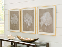 Family Deals Furniture - Ashley Furniture - Hendridge Wall Decor - Wall Art Set (3/CN) / Taupe/White - A8000486