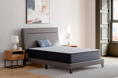Family Deals Furniture - Ashley Furniture - Anniversary Edition Firm Mattresses - Twin - M42011