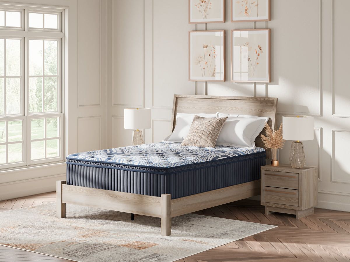 Family Deals Furniture - Ashley Furniture - Plush Luxe 2.0 Mattresses - Queen / Blue - M49731